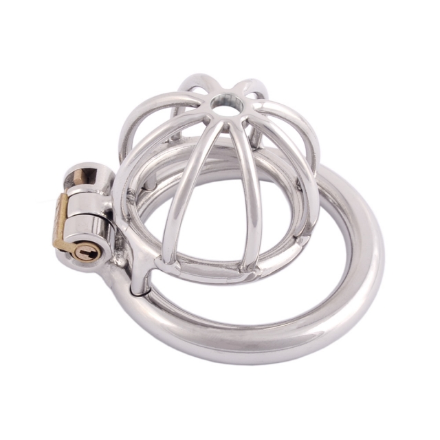 Ternence Stainless Steel 304 Chastity Cage | Male Chastity Expert